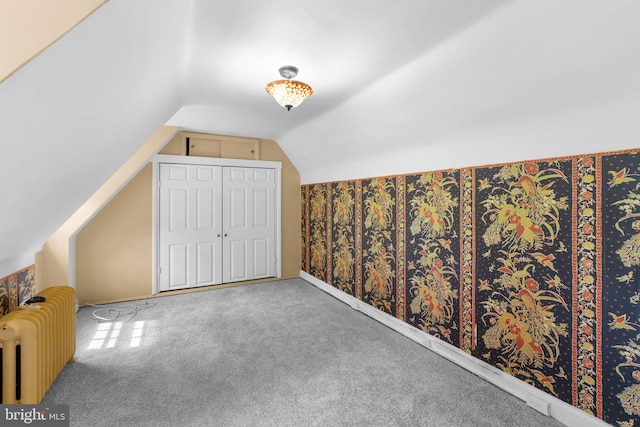 546 W University Pkwy, Baltimore, MD 21210 - additional living space with radiator heating unit, lofted ceiling, and carpet floors