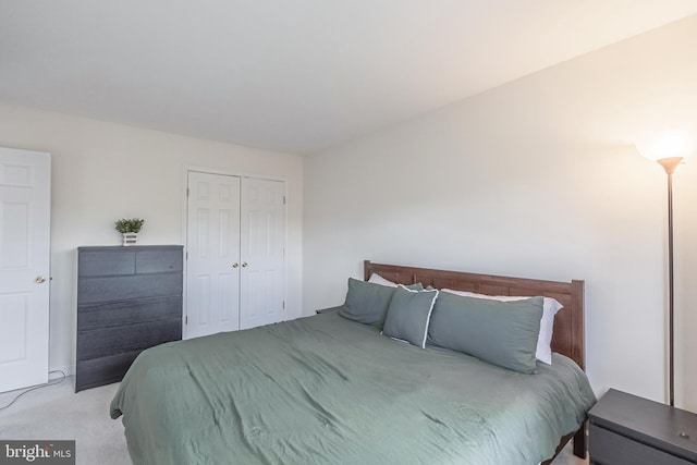222 Hawks View Sq SE, Leesburg, VA 20175 - carpeted bedroom featuring a closet