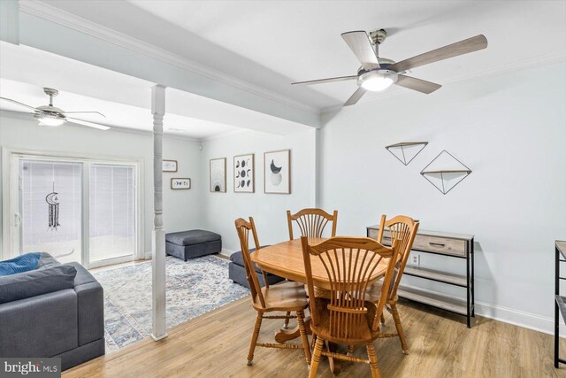1931 Fort Monroe Ct, Dumfries, VA 22026 - dining room with ceiling fan, ornamental molding, and light wood-style flooring