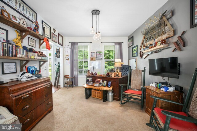 550 Long Meadow Dr, Fredericksburg, VA 22406 - office area featuring carpet