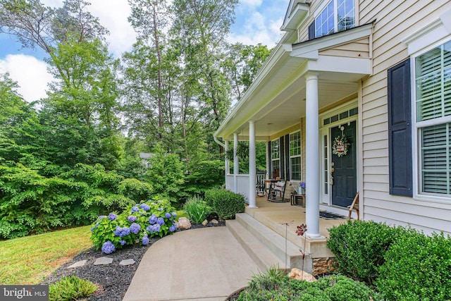 550 Long Meadow Dr, Fredericksburg, VA 22406 - view of porch