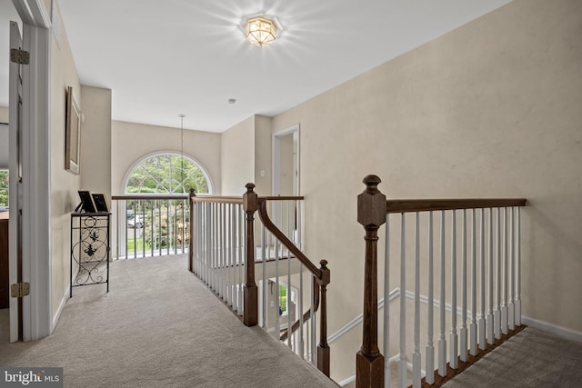 4 False Heather Way, Medford, NJ 08055 - hallway featuring an upstairs landing, carpet, and baseboards