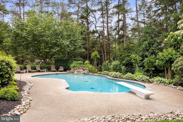 4 False Heather Way, Medford, NJ 08055 - swimming pool with a patio and a diving board
