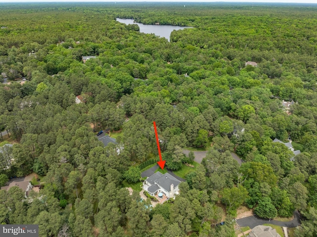4 False Heather Way, Medford, NJ 08055 - view of property location with a heavily wooded area and a large body of water