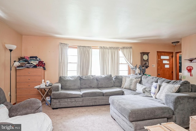 28 Malaga Ter, Malaga, NJ 08328 - carpeted living room featuring plenty of natural light