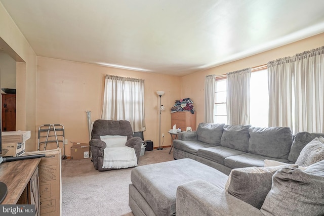 28 Malaga Ter, Malaga, NJ 08328 - living room featuring light carpet