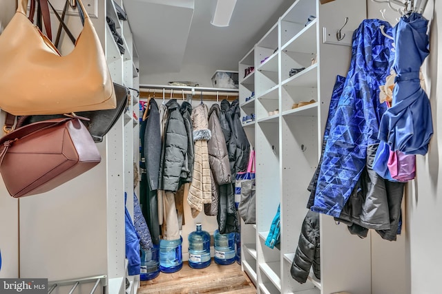 2409 Lightfoot Dr, Baltimore, MD 21209 - spacious closet with wood finished floors