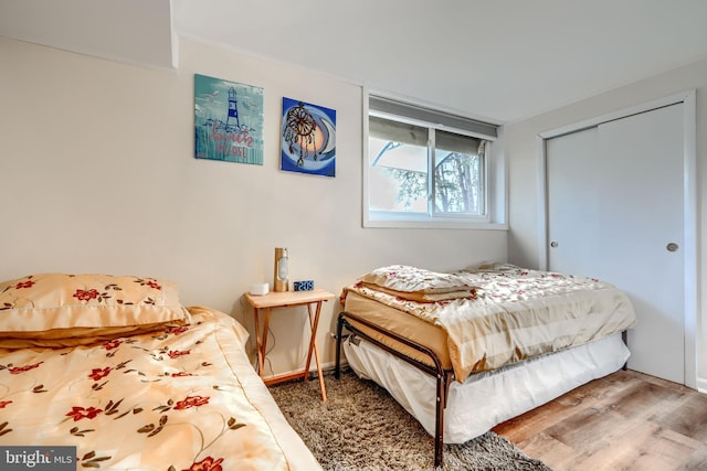 2409 Lightfoot Dr, Baltimore, MD 21209 - bedroom featuring wood finished floors and a closet