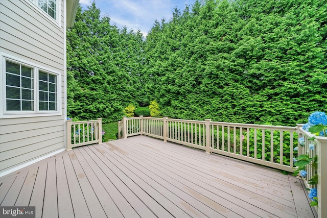 1 Derbyshire Way, Wilmington, DE 19807 - view of wooden deck