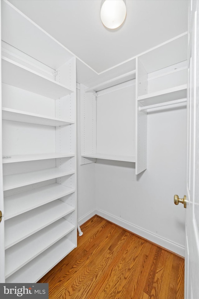 1 Derbyshire Way, Wilmington, DE 19807 - walk in closet with wood finished floors