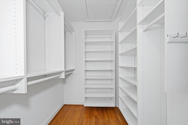 1 Derbyshire Way, Wilmington, DE 19807 - walk in closet featuring wood finished floors
