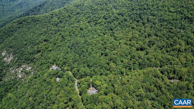 631 Far Knob Climb, Nellysford, VA 22958