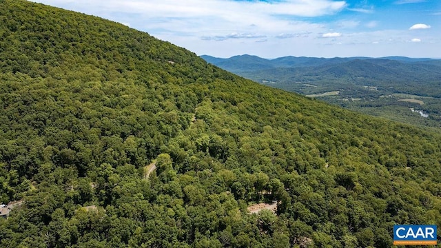 631 Far Knob Climb, Nellysford, VA 22958