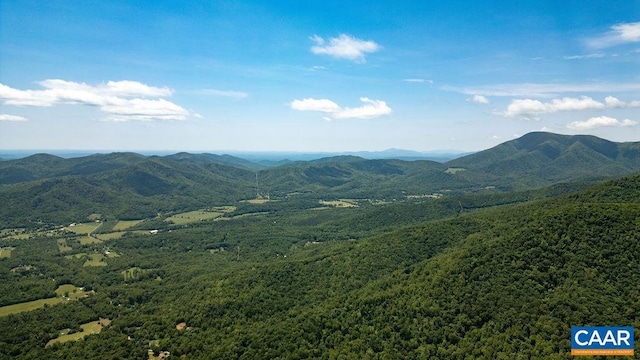 631 Far Knob Climb, Nellysford, VA 22958
