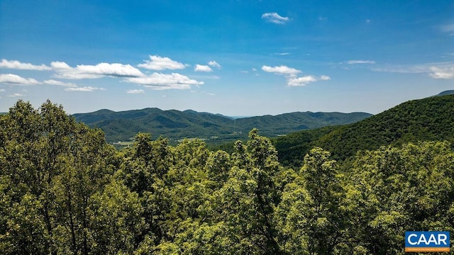 631 Far Knob Climb, Nellysford, VA 22958