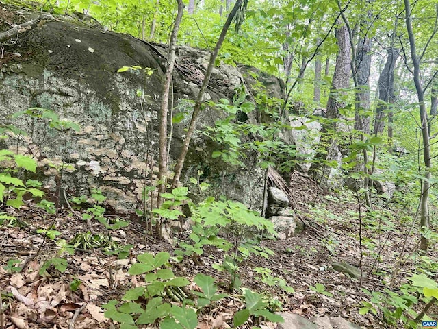 631 Far Knob Climb, Nellysford, VA 22958