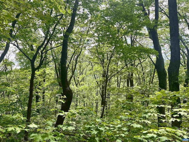 631 Far Knob Climb, Nellysford, VA 22958