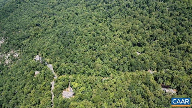 631 Far Knob Climb, Nellysford, VA 22958