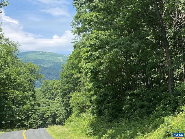 711 Far Knob Climb, Nellysford, VA 22958