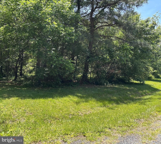 Chancellor Point Rd, Trappe, MD 21673