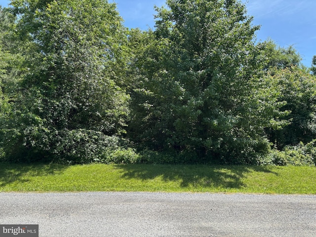 Chancellor Point Rd, Trappe, MD 21673