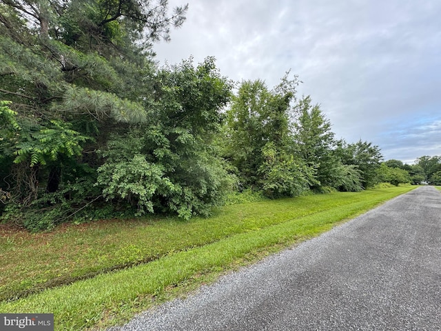 Chancellor Point Rd, Trappe, MD 21673