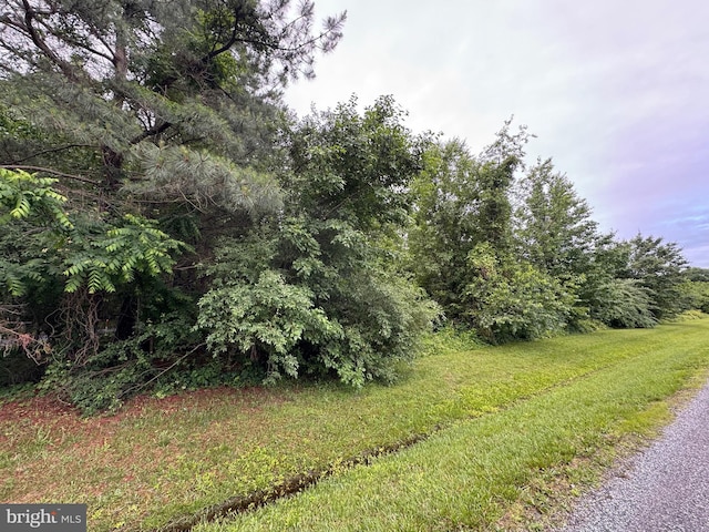 Chancellor Point Rd, Trappe, MD 21673