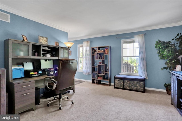 701 Antietam Dr, Douglassville, PA 19518 - carpeted office featuring ornamental molding, plenty of natural light, and baseboards