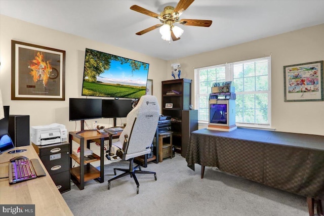 701 Antietam Dr, Douglassville, PA 19518 - carpeted office space with ceiling fan