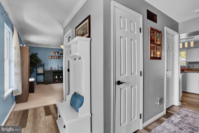 701 Antietam Dr, Douglassville, PA 19518 - hallway featuring wood finished floors, ornamental molding, and baseboards