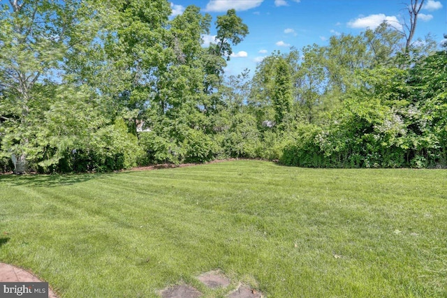 701 Antietam Dr, Douglassville, PA 19518 - view of green lawn