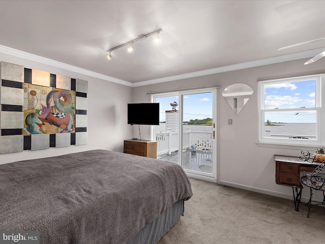 9112 Chesapeake Ave, Sparrows Point, MD 21219 - bedroom with rail lighting, access to exterior, light carpet, crown molding, and baseboards