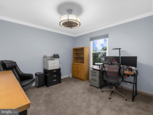 9112 Chesapeake Ave, Sparrows Point, MD 21219 - home office featuring ornamental molding, carpet floors, and baseboards