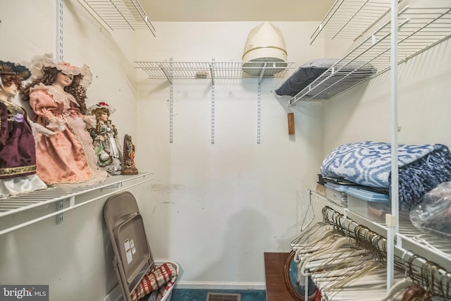 56 Ridgewood Way, Burlington, NJ 08016 - view of walk in closet