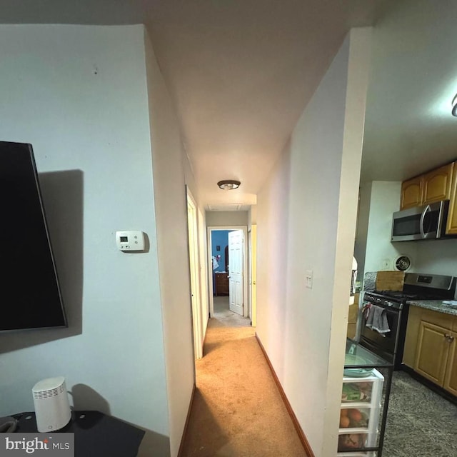 7332 Lee Hwy Unit 201, Falls Church, VA 22046 - hallway with carpet floors