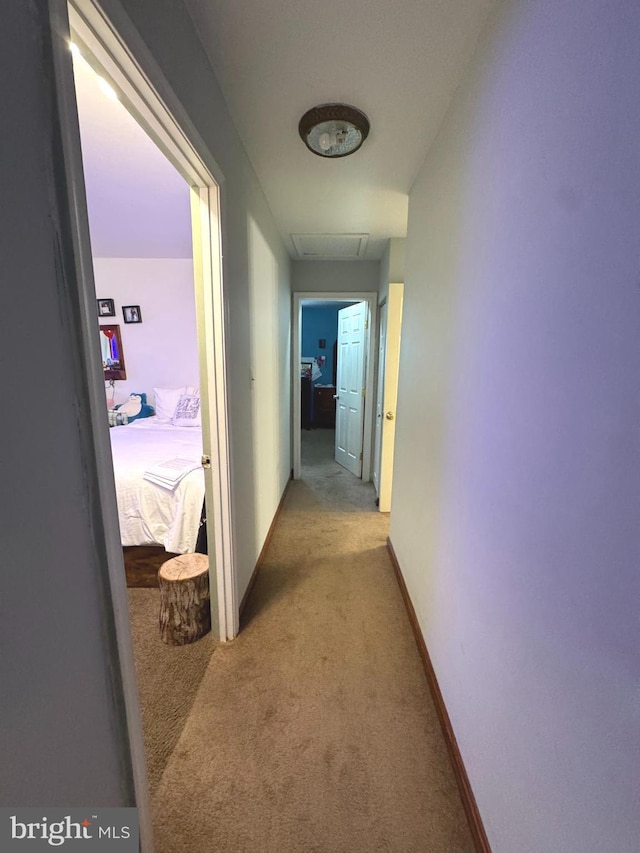 7332 Lee Hwy Unit 201, Falls Church, VA 22046 - corridor with light carpet and attic access