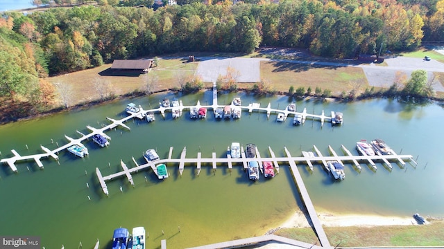 347 Lakewood Cir, Mineral, VA 23117 - view of property location featuring a large body of water, a forest, and numerous boat docks