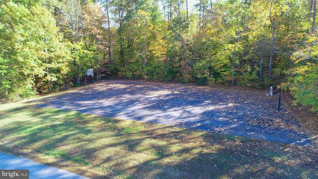 347 Lakewood Cir, Mineral, VA 23117 - view of sport court featuring a view of trees