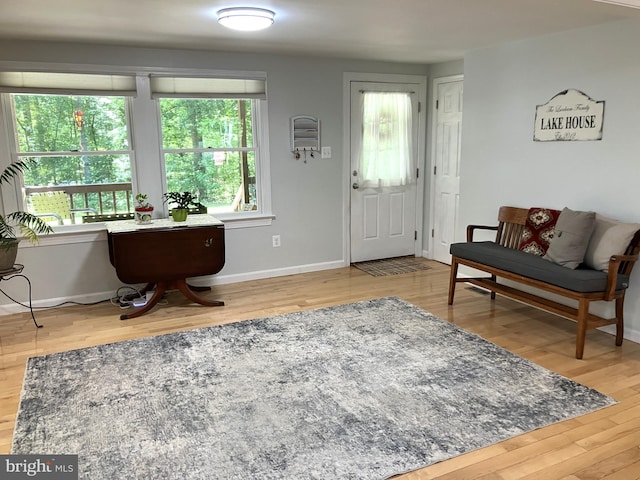 347 Lakewood Cir, Mineral, VA 23117 - foyer entrance featuring wood finished floors and baseboards