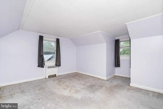 1010 Hampton Dr, Eastampton, NJ 08060 - bonus room with vaulted ceiling, healthy amount of natural light, carpet flooring, radiator heating unit, and baseboards