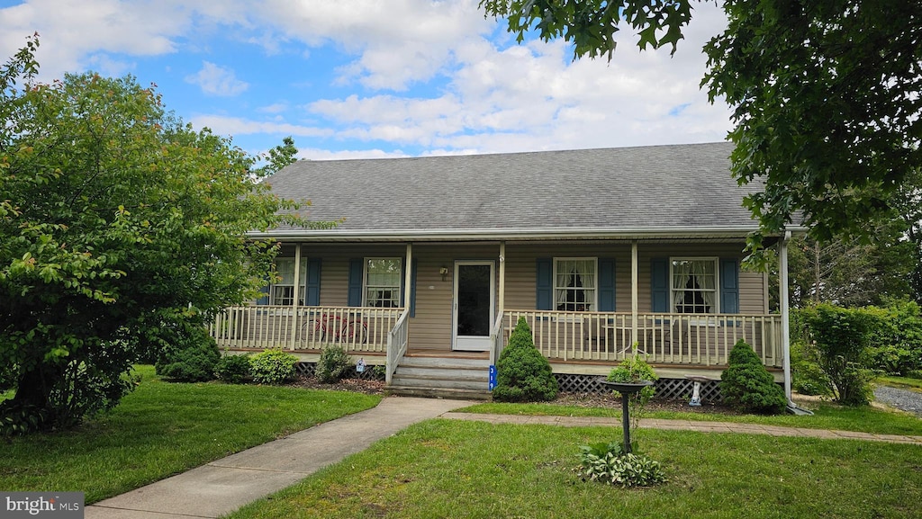 319 Laurel St, Easton, MD 21601 - view of front of home featuring covered porch, roof with shingles, and a front yard