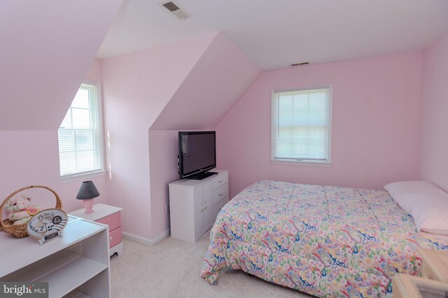 27836 Clearwater Ct, Salisbury, MD 21801 - bedroom featuring vaulted ceiling and light carpet