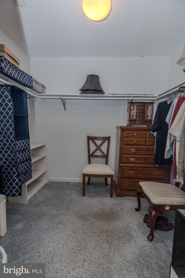 27836 Clearwater Ct, Salisbury, MD 21801 - walk in closet featuring carpet
