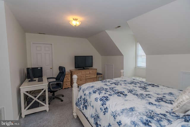 27836 Clearwater Ct, Salisbury, MD 21801 - bedroom with carpet floors and vaulted ceiling