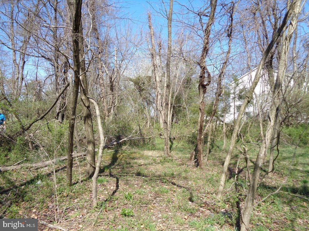 12355 Potomac View Dr, Newburg, MD 20664