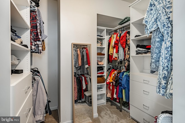 340 Dawson Pl, Downingtown, PA 19335 - walk in closet featuring carpet flooring
