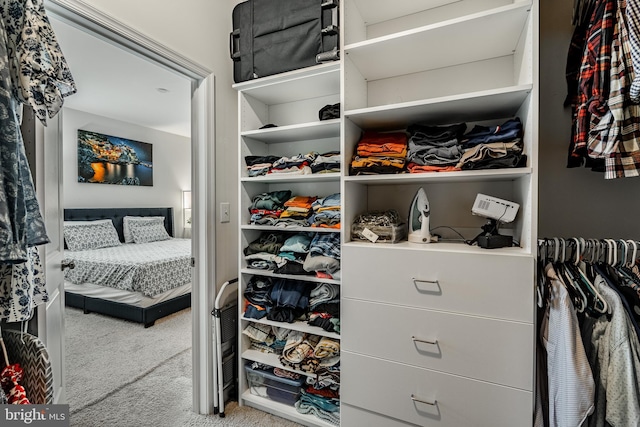340 Dawson Pl, Downingtown, PA 19335 - walk in closet featuring carpet flooring