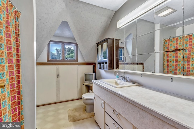 865 Windsor Perrineville Rd, East Windsor, NJ 08520 - bathroom with vaulted ceiling, toilet, vanity, tile patterned floors, and a shower with shower curtain