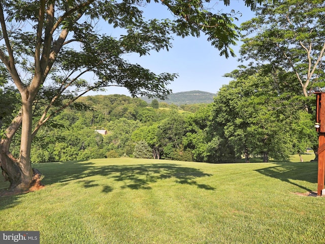 123 Windy Meadows Ct, Front Royal, VA 22630 - view of green lawn featuring a mountain view