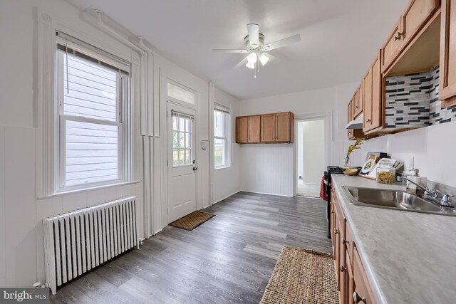 547 W Vine St, Lancaster, PA 17603 - kitchen with radiator, a sink, ceiling fan, wood finished floors, and light countertops